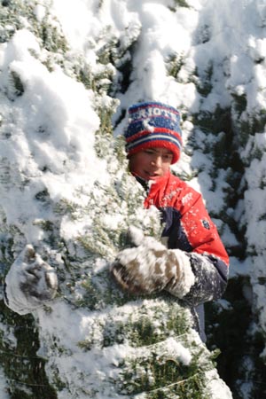 Christmas_Tree_Harvest_071