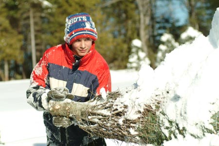 Christmas_Tree_Harvest_072