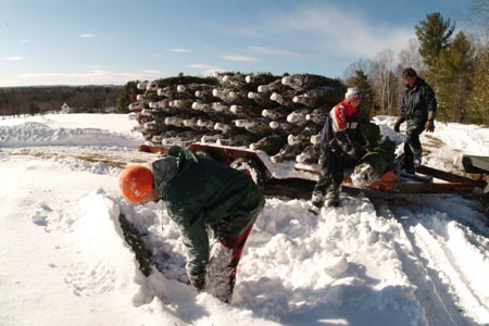 Christmas_Tree_Harvest_120