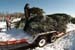 Christmas_Tree_Harvest_111