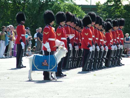 Changing_Guard