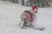 Santa_Sunday_River_107